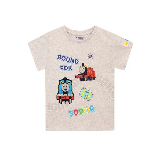 unnamed-file-209.jpg Character Grey Thomas The Tank Engine Train T-Shirt -Girl In Mind unnamed file 209