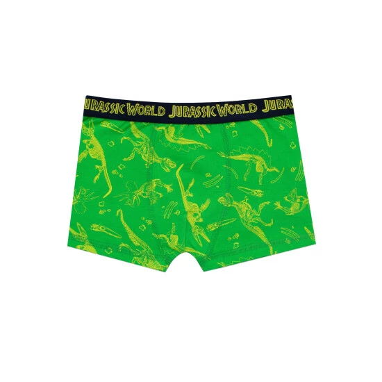 unnamed-file-556.jpg Character Green Jurassic World Underwear -Girl In Mind unnamed file 556
