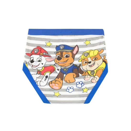 unnamed-file-561.jpg Character Blue Paw Patrol Kids 5 Pack Underwear Multipack -Girl In Mind unnamed file 561